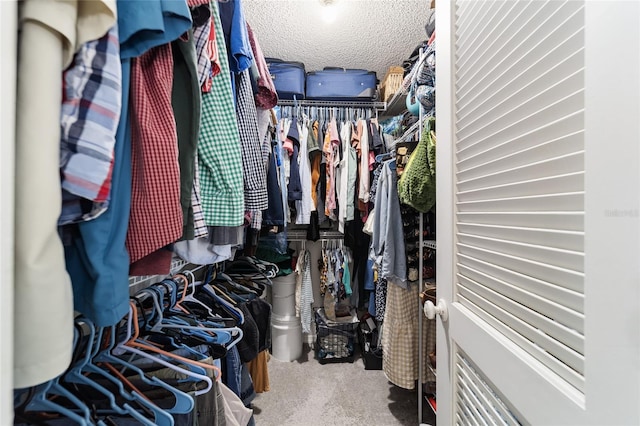 walk in closet with carpet floors