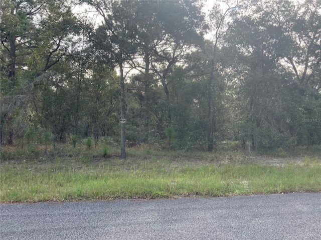 00 SE 139th Ter, Morriston FL, 32668 land for sale