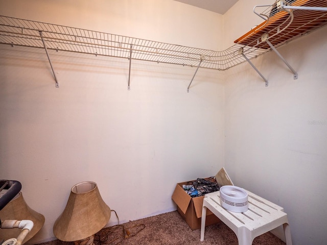 walk in closet with carpet floors