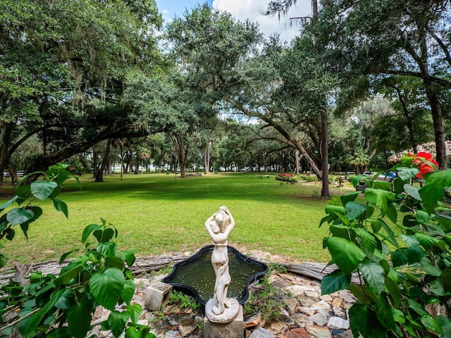 24750 NE 177th Ter, Fort Mc Coy, FL 32134 - view of grassy yard