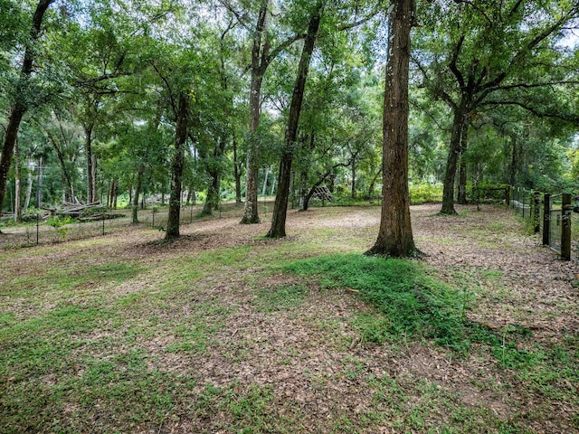 view of local wilderness