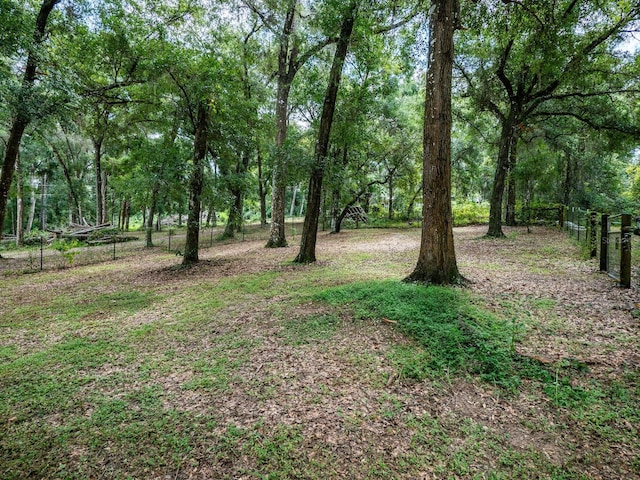24750 NE 177th Ter, Fort Mc Coy, FL 32134 - view of yard