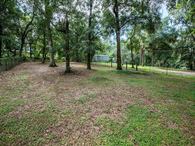 24750 NE 177th Ter, Fort Mc Coy, FL 32134 - view of yard