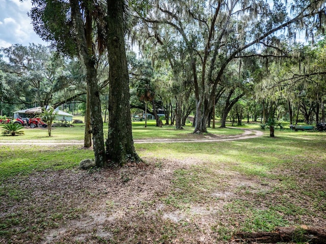 24750 NE 177th Ter, Fort Mc Coy, FL 32134 - view of green lawn