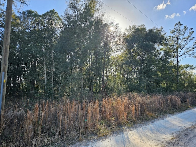 15100 SW 28th Ln, Ocala FL, 34481 land for sale