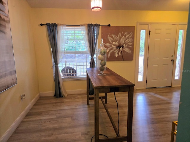 foyer entrance featuring wood-type flooring