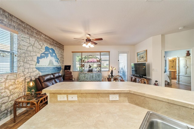 kitchen featuring ceiling fan, a textured ceiling, and dark hardwood / wood-style flooring