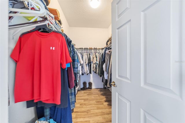 spacious closet featuring light wood-type flooring