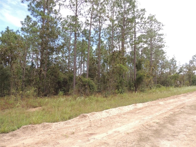 Listing photo 3 for 291 NE 135th Ct, Williston FL 32696