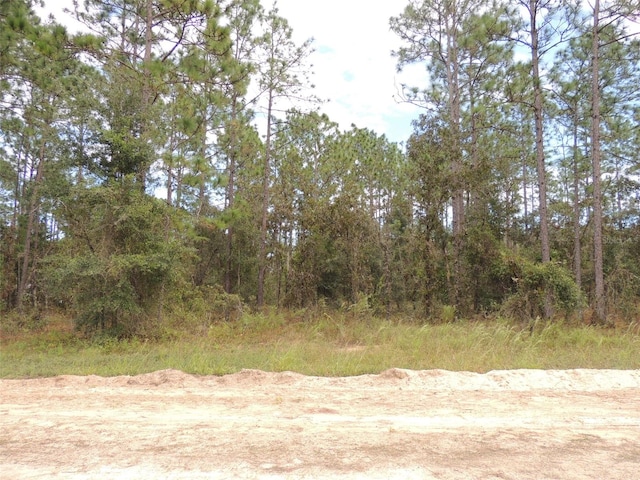 291 NE 135th Ct, Williston FL, 32696 land for sale