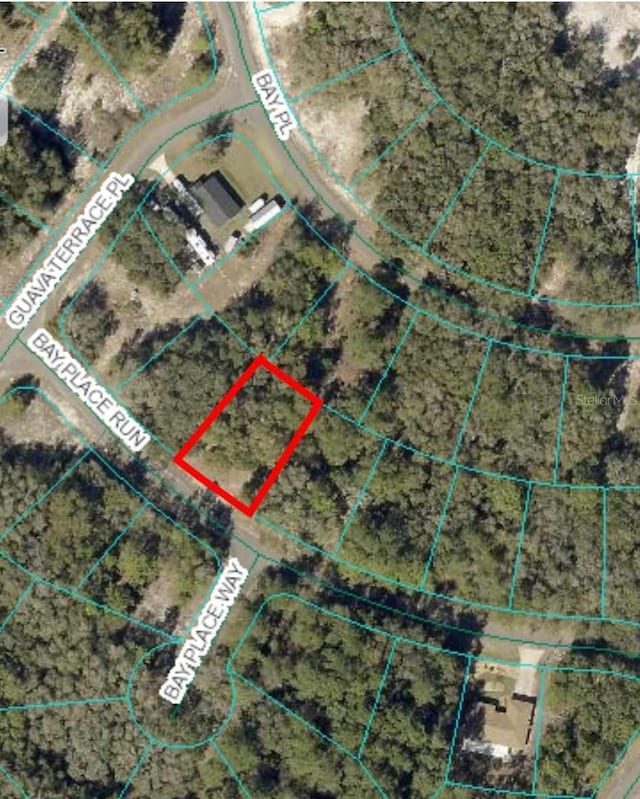 00 Bay Place Run, Ocklawaha FL, 32183 land for sale