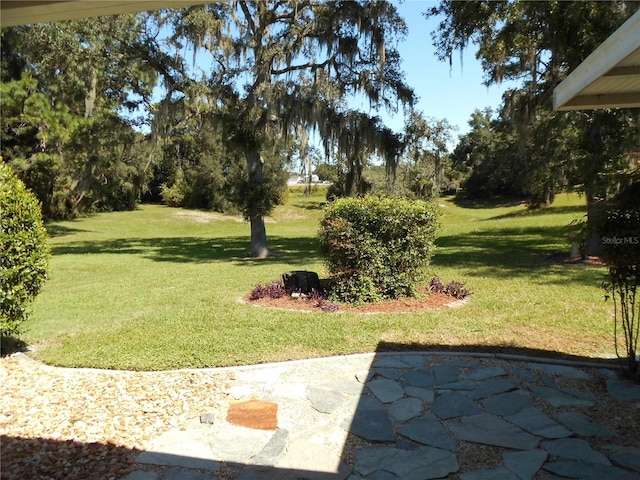 view of yard featuring a patio area