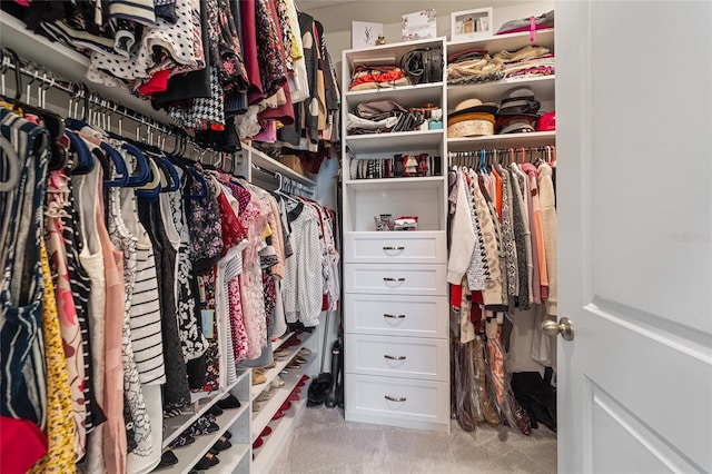 walk in closet with light carpet