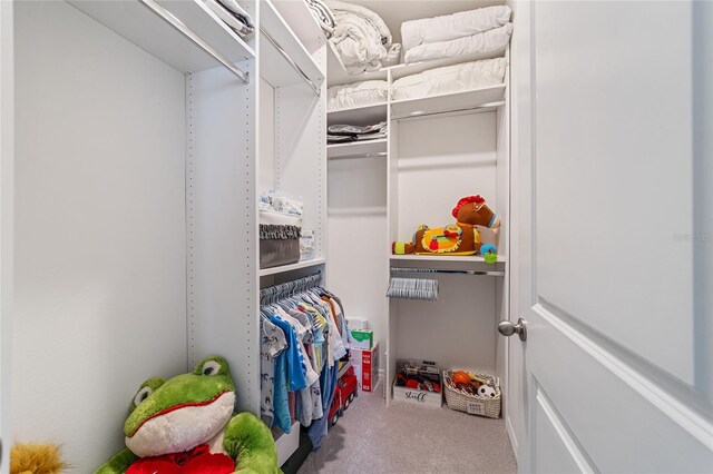 walk in closet with carpet floors