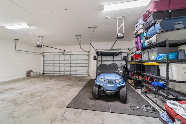 garage with a garage door opener