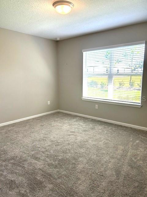 empty room featuring carpet floors and a textured ceiling