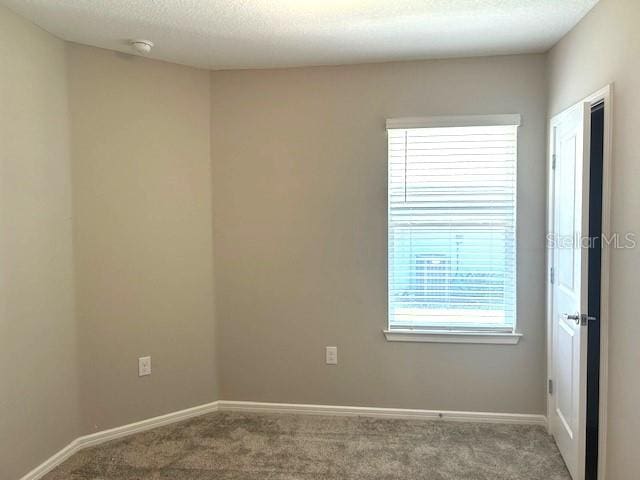 empty room with carpet, a textured ceiling, and plenty of natural light