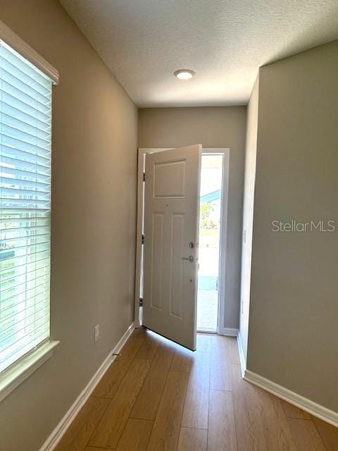 entrance foyer featuring a textured ceiling, light hardwood / wood-style floors, and a wealth of natural light