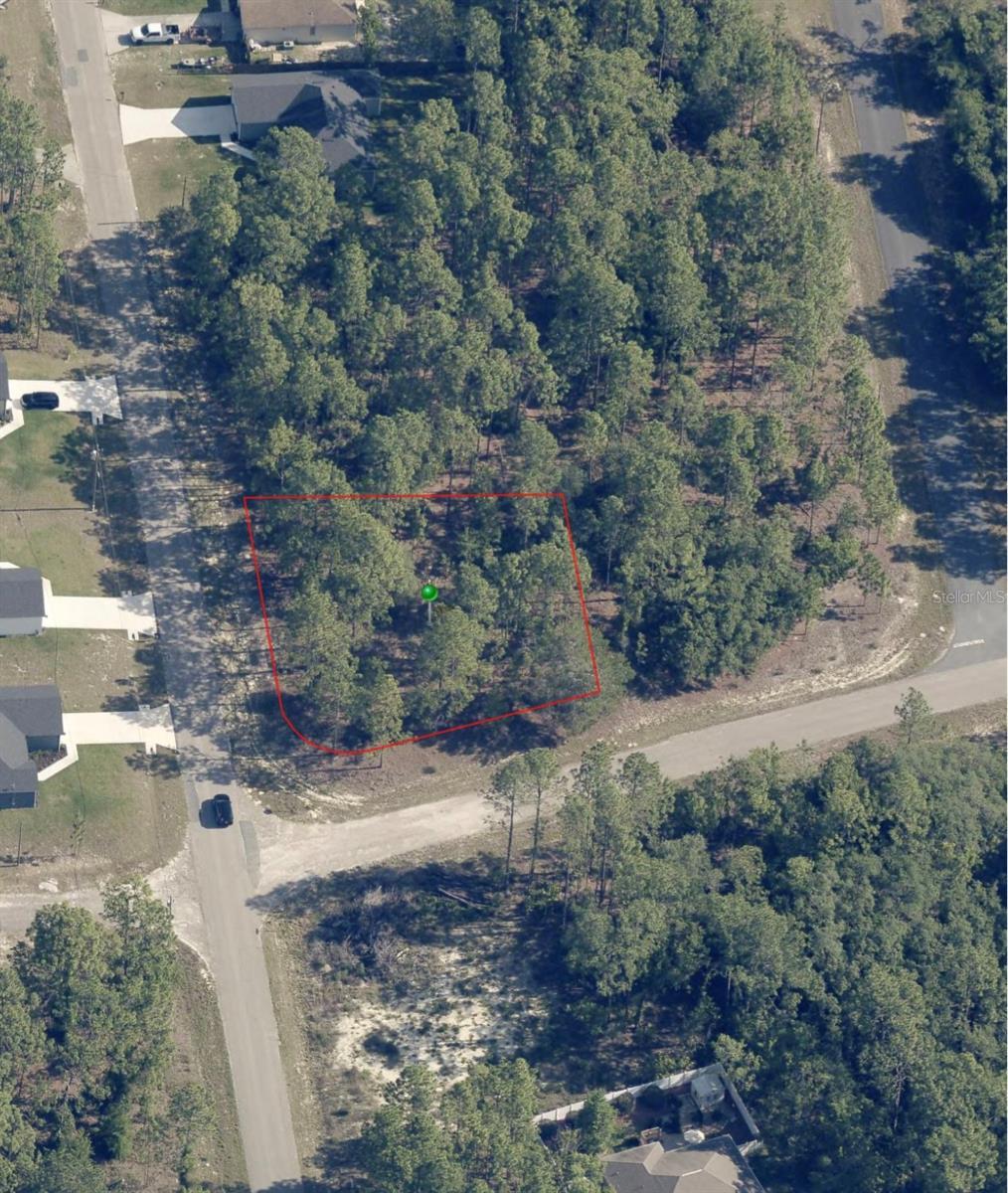 1951 W Adelia Pl, Citrus Springs, FL 34434 - photo 1