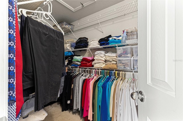 spacious closet featuring carpet