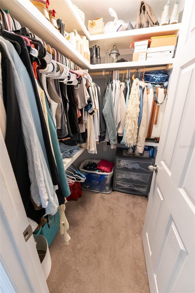 spacious closet with carpet