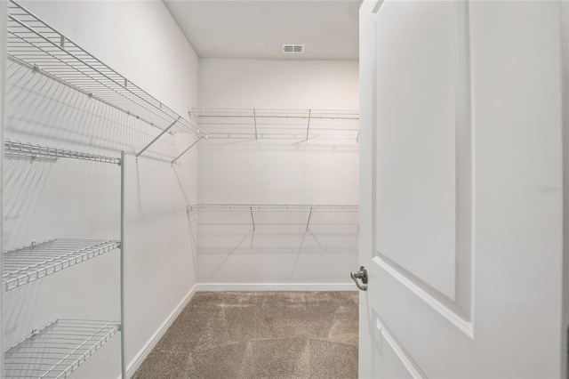 spacious closet featuring carpet floors