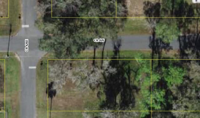 2727 E Crk 426, Lake Panasoffkee FL, 33538 land for sale