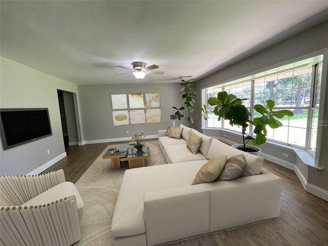 living room with ceiling fan and dark hardwood / wood-style flooring