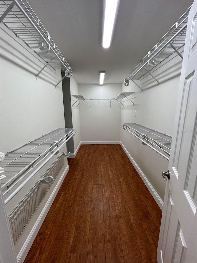 walk in closet featuring dark hardwood / wood-style floors