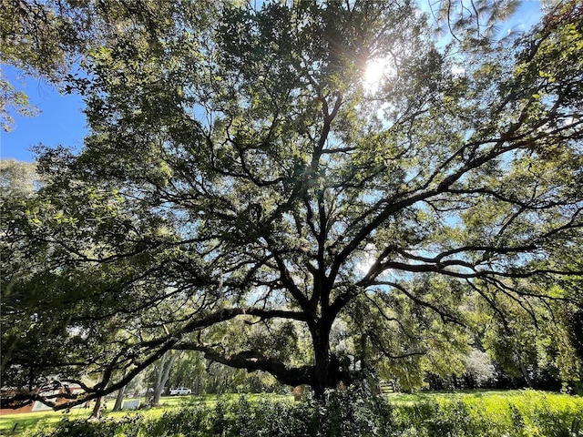 9526 SW 72nd Ct, Ocala, FL 34476 - view of local wilderness