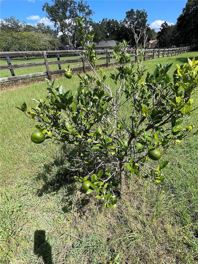 9526 SW 72nd Ct, Ocala, FL 34476 - view of yard