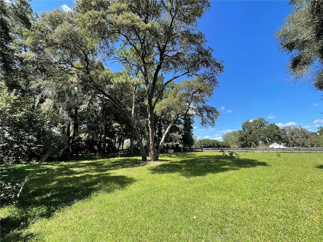 9526 SW 72nd Ct, Ocala, FL 34476 - view of yard