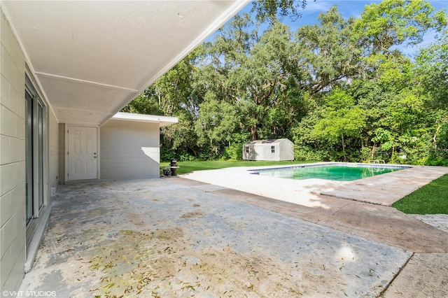 view of swimming pool featuring a patio area and a shed