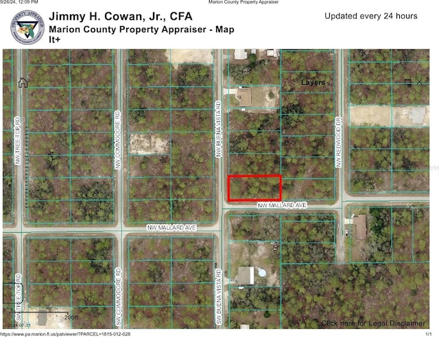 NW Buena Vista Rd, Dunnellon FL, 34431 land for sale