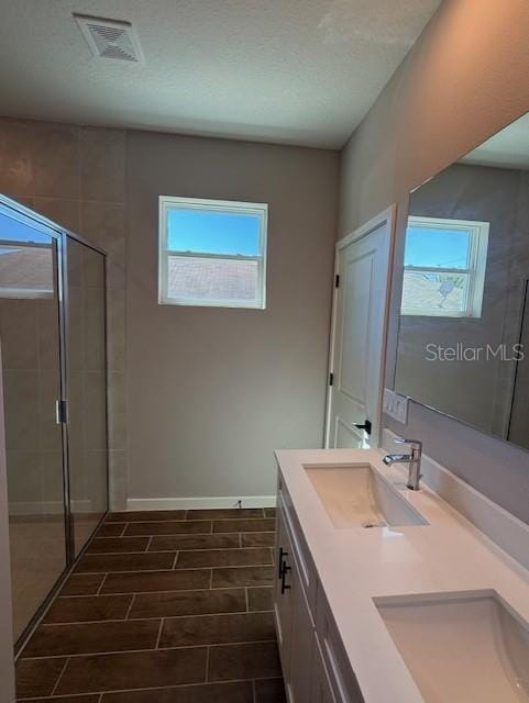 bathroom with vanity, a shower with door, and a wealth of natural light