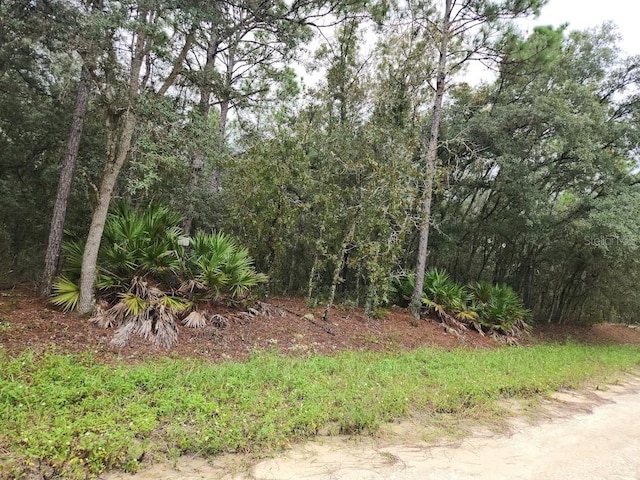 SW 125th Ter, Dunnellon FL, 34432 land for sale