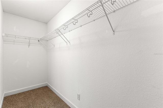 walk in closet with carpet floors