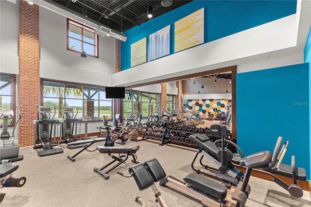 workout area with carpet floors and a towering ceiling