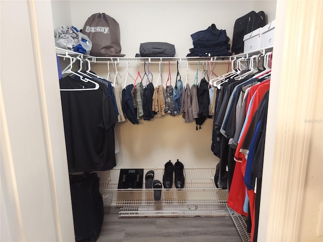 spacious closet with wood-type flooring