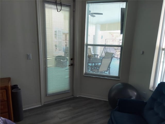 doorway featuring hardwood / wood-style floors and a healthy amount of sunlight