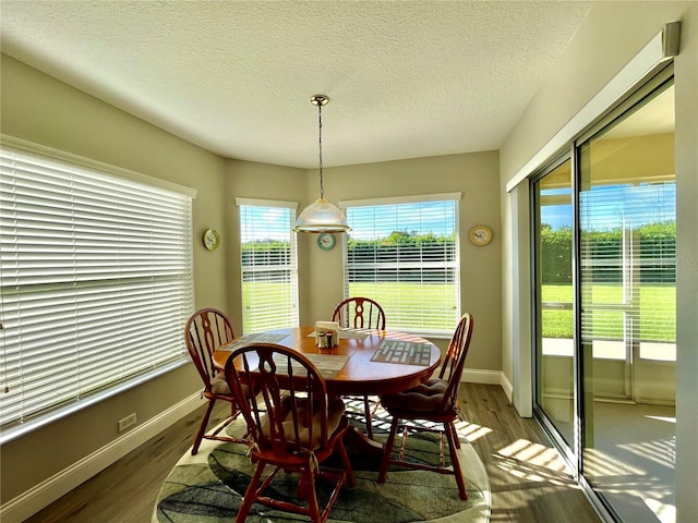 dining room with a textured ceiling and dark wood-type flooring