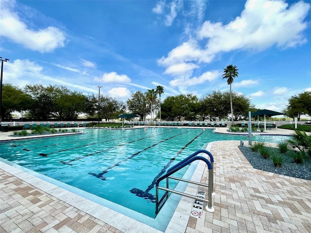 view of pool with a patio area