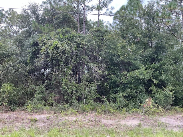 SW Jonquil Ct, Dunnellon FL, 34431 land for sale