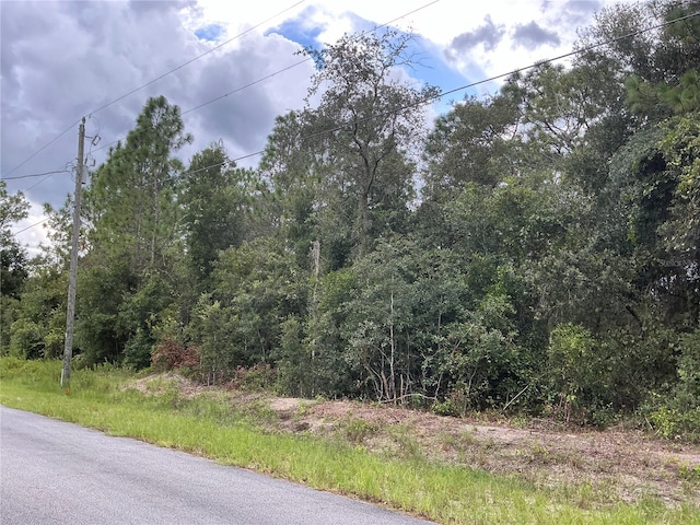 Listing photo 2 for SW Jonquil Ct, Dunnellon FL 34431