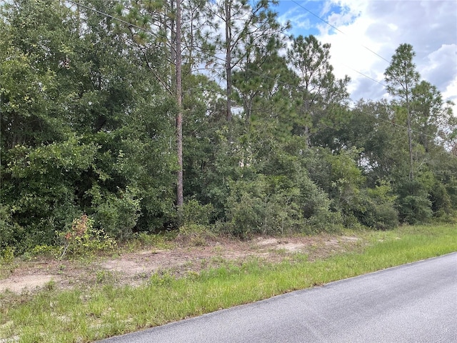 Listing photo 3 for SW Jonquil Ct, Dunnellon FL 34431