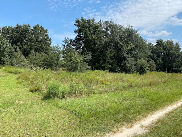 SW105thplace O, Dunnellon FL, 34432 land for sale