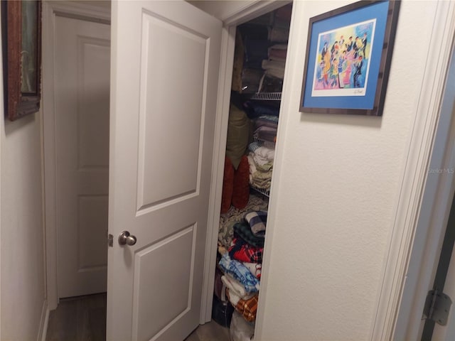 view of closet