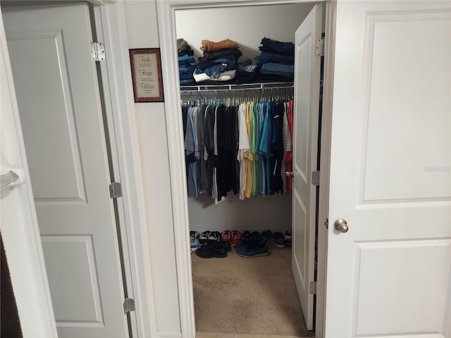 view of closet