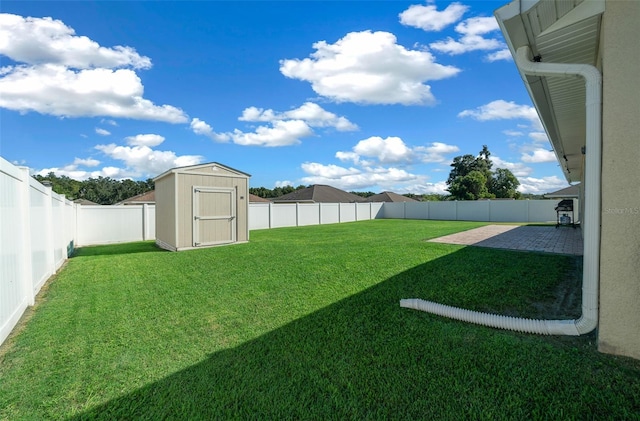 view of yard featuring a shed and a patio area