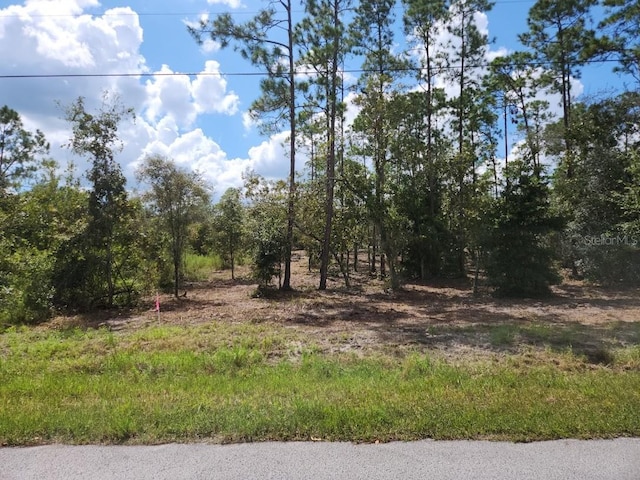 Listing photo 3 for SW Wisteria Ct, Dunnellon FL 34431